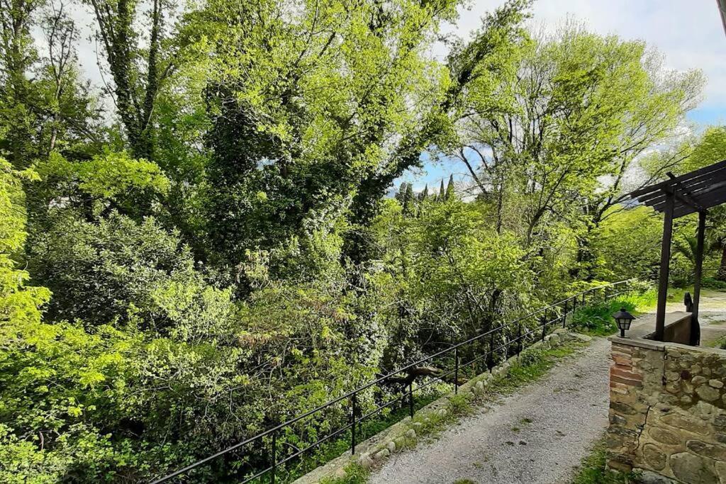 Gite De Charme Dans Mas Catalan Prades  Eksteriør billede