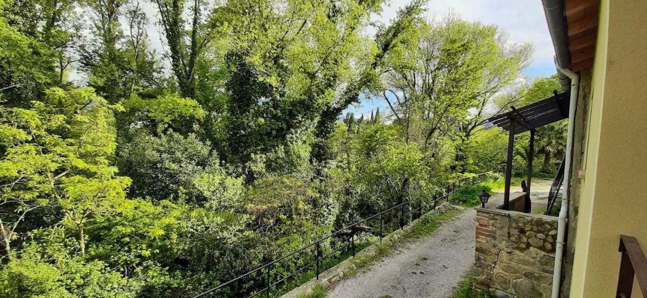 Gite De Charme Dans Mas Catalan Prades  Eksteriør billede