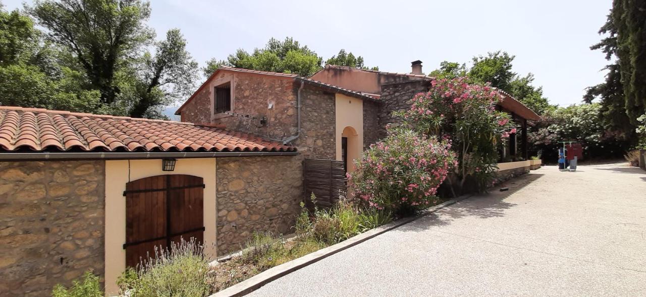 Gite De Charme Dans Mas Catalan Prades  Eksteriør billede