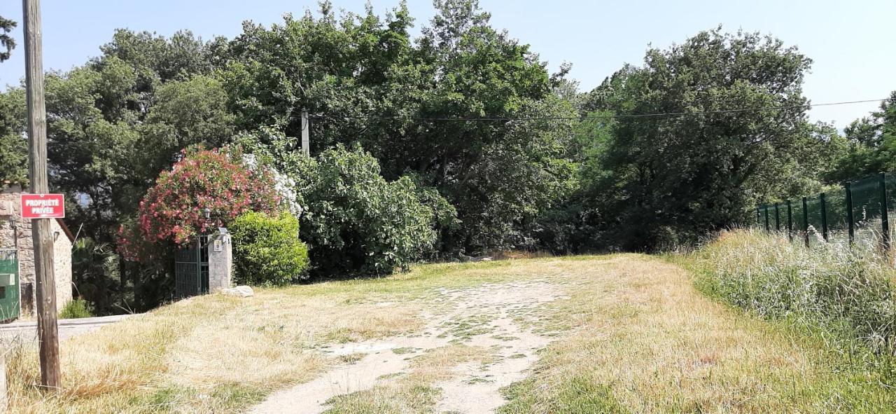 Gite De Charme Dans Mas Catalan Prades  Eksteriør billede